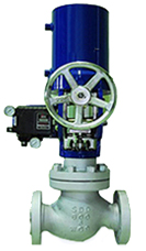 Piston Aktüatörlü Kontrol Vanası